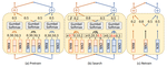 AutoSTL: Automated Spatio-Temporal Multi-Task Learning