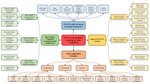 Spatio-Temporal Graph Neural Networks for Predictive Learning in Urban Computing: A Survey